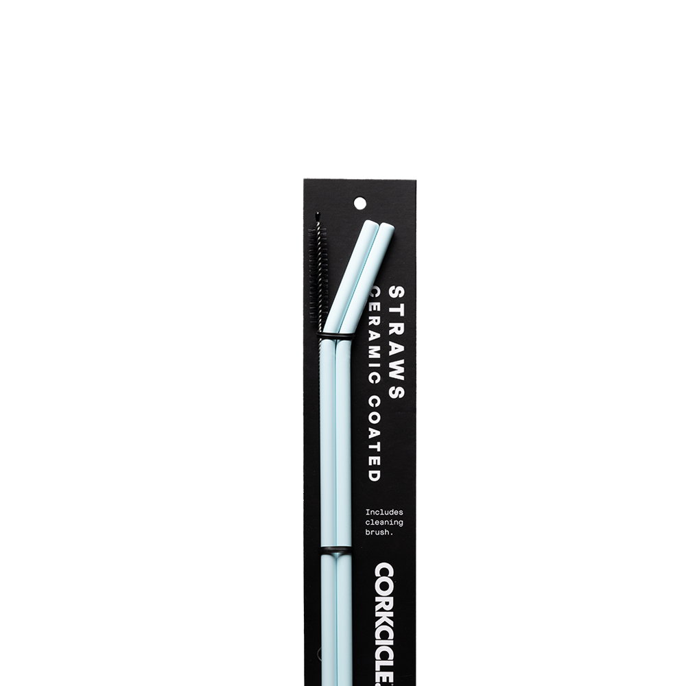 Ceramic Coated Straw Set - Modern Clean Ready Pick - Straw Set / Ceramic Powder Blue